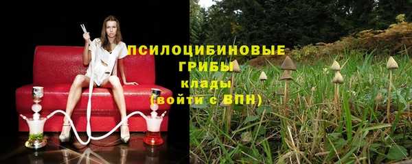 Альфа ПВП Абаза