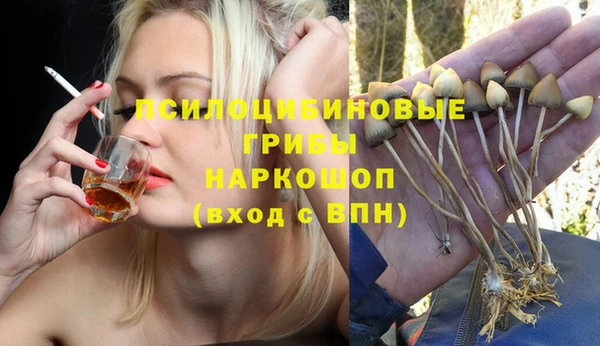 spice Абинск