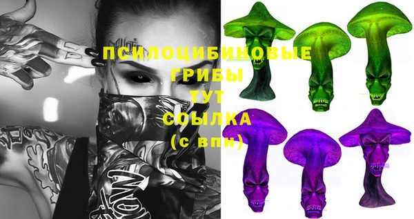 дживик Алексеевка