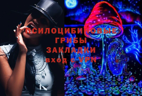 синтетический гашиш Алексин